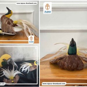 Topi Pet Burung Cendrawasih