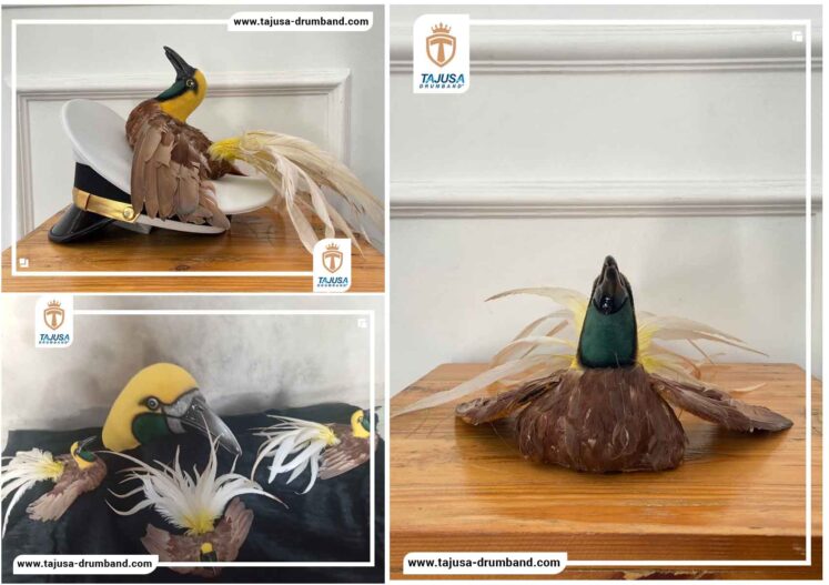 Topi Pet Burung Cendrawasih