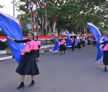 Teknik visual color guard